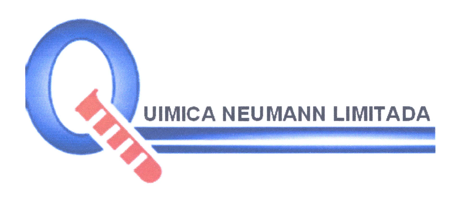 QUIMICA NEUMANN LIMITADA