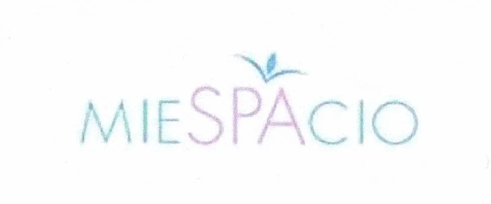 MIESPACIO