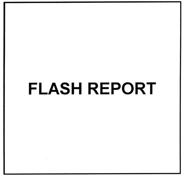 FLASH REPORT