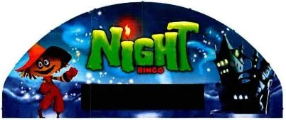 NIGHT BINGO