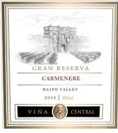 VC VIÑA CENTRAL