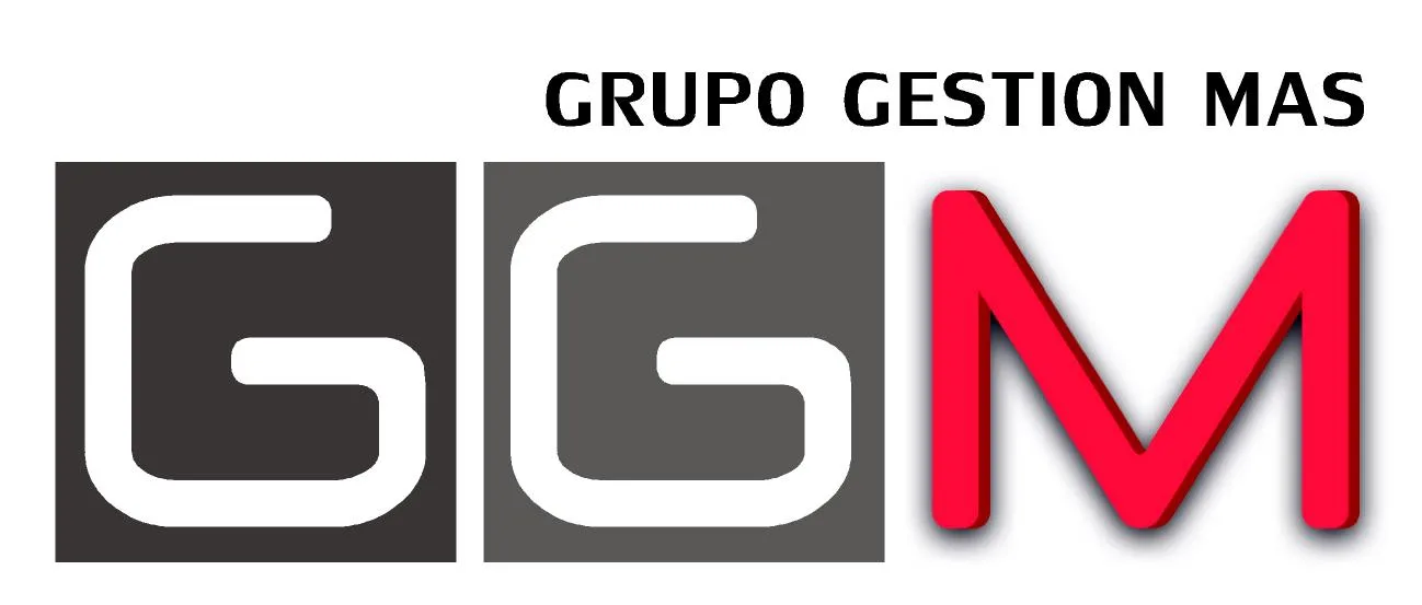 GRUPO GESTION MAS GGM