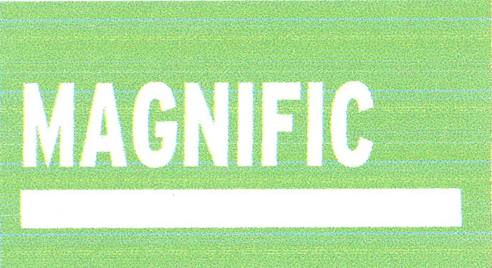 MAGNIFIC
