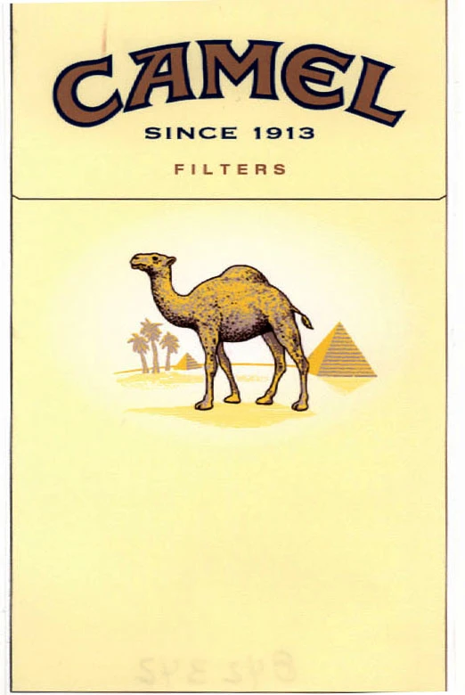 CAMEL