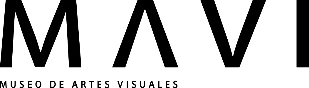 MAVI Museo de Artes Visuales