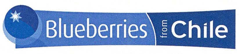BLUEBERRIES FROM CHILE