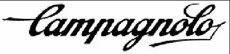 CAMPAGNOLO