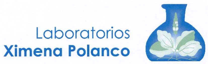 LABORATORIOS XIMENA POLANCO