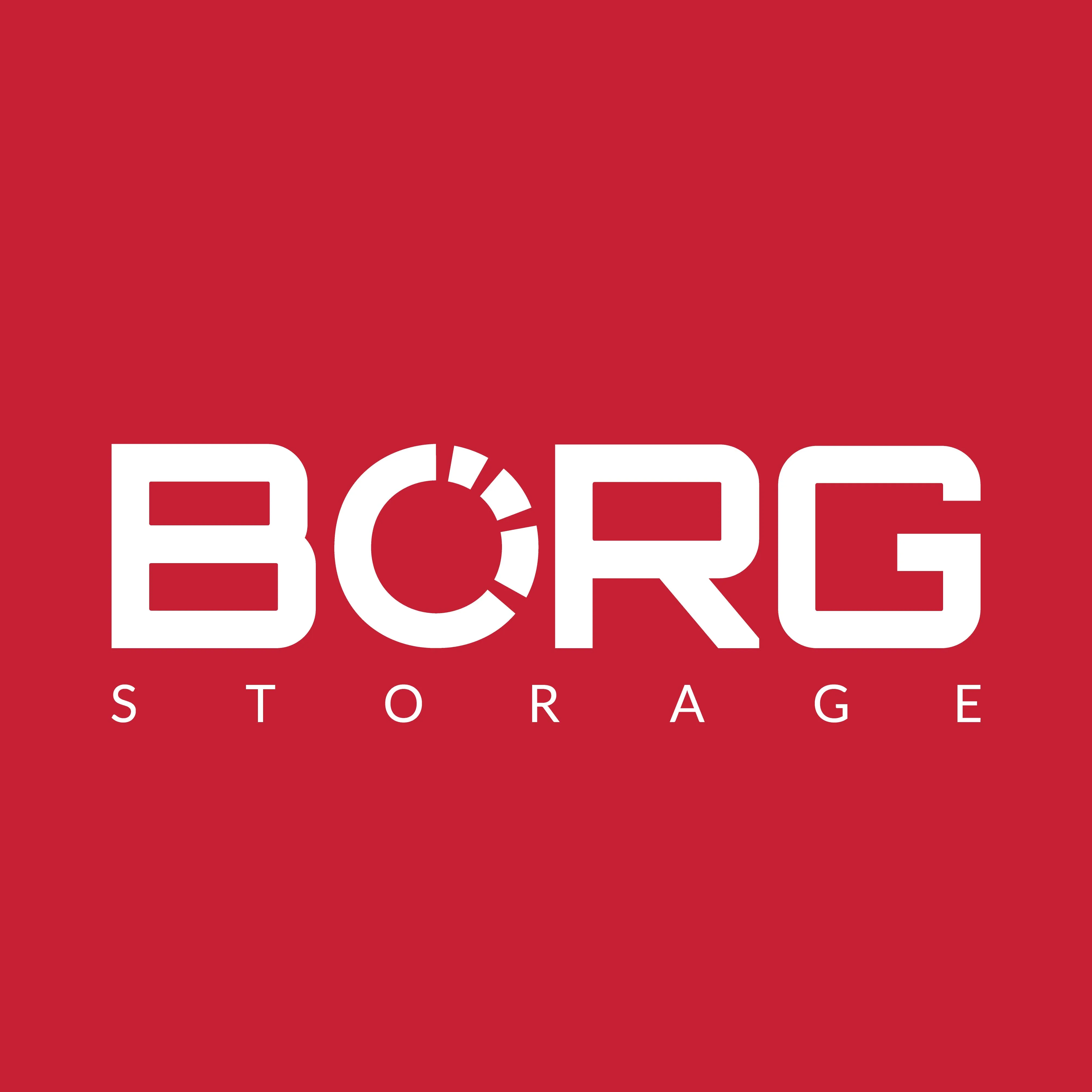 Borg Storage