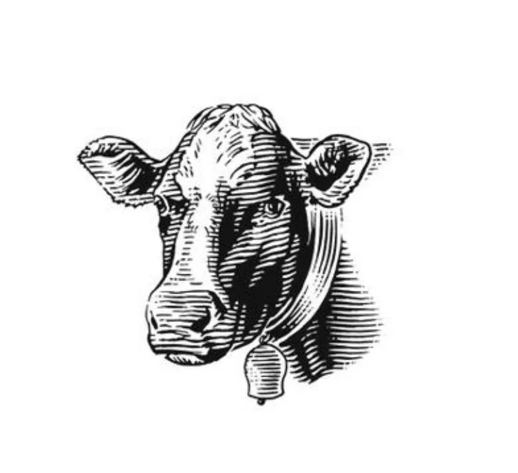 Acta 1369135