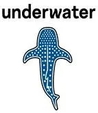 UNDERWATER