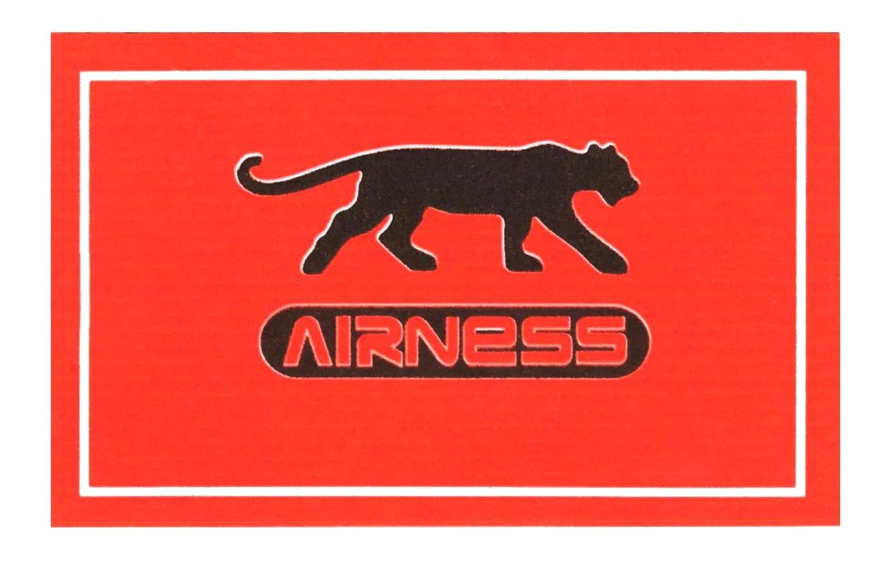 AIRNESS