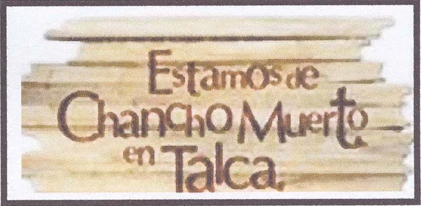 ESTAMOS DE CHANCHO MUERTO EN TALCA