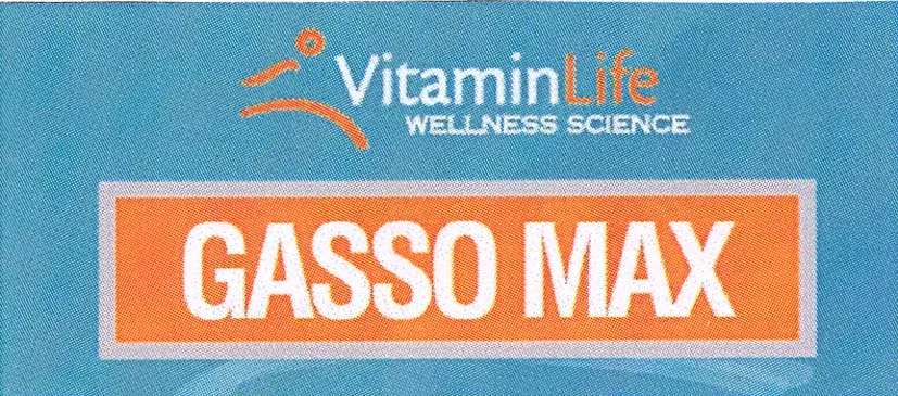 VITAMINLIFE WELLNESS SCIENCE GASSO MAX