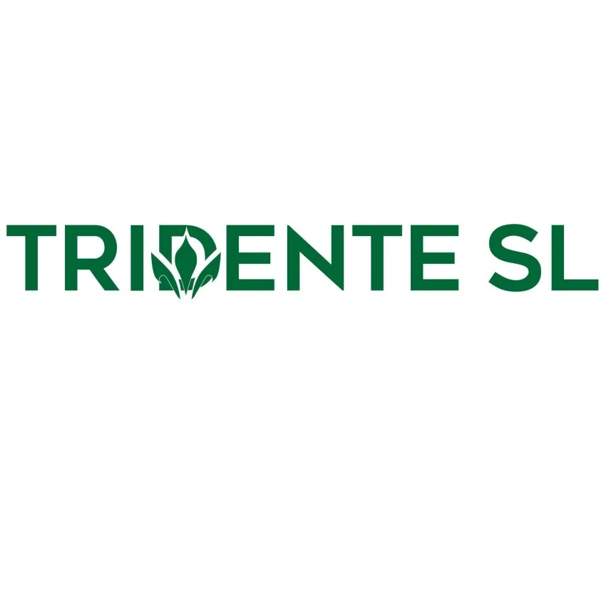 TRIDENTE SL