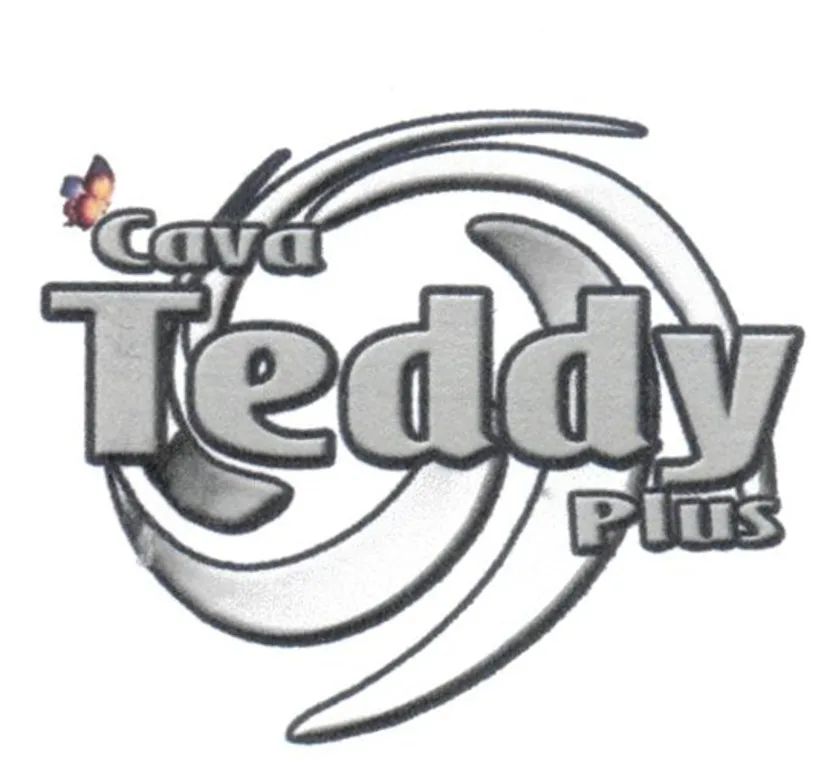 CAVA TEDDY PLUS