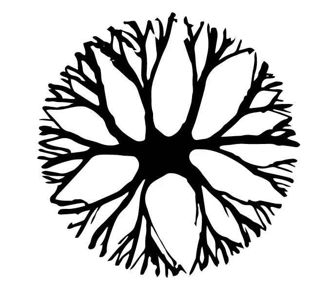 Acta 1464138