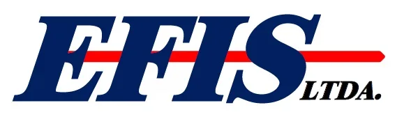 EFIS LTDA.
