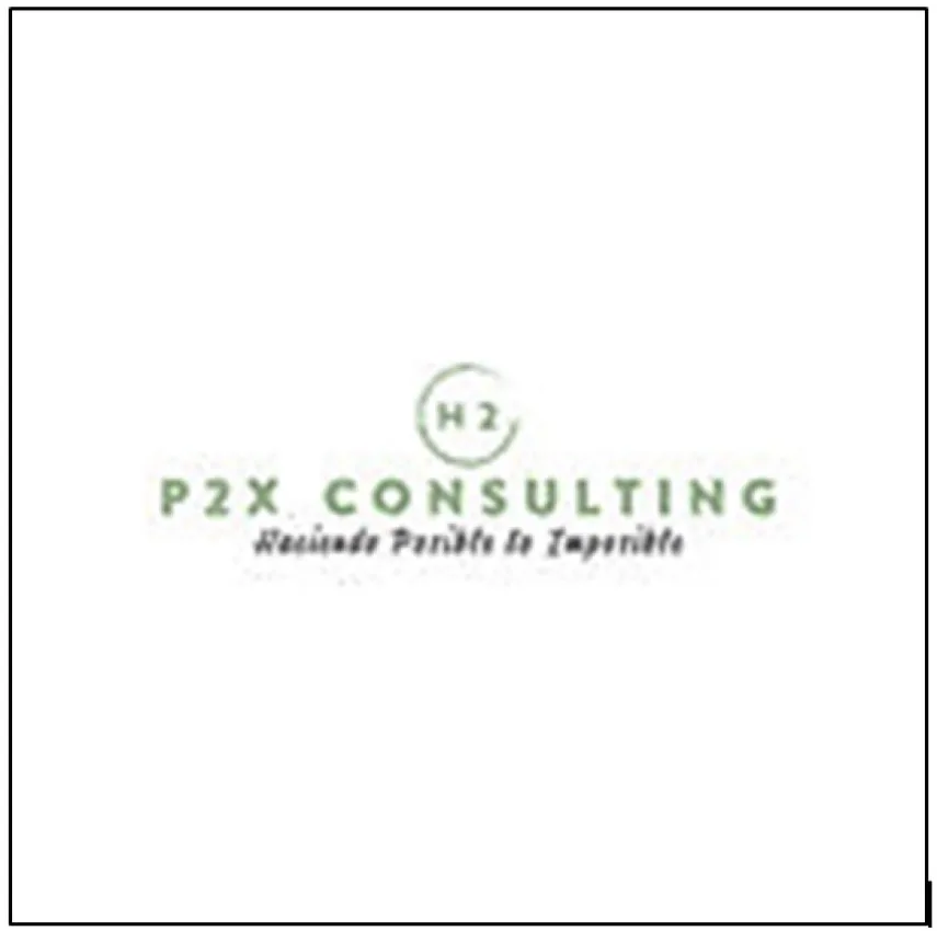 H2 P2X CONSULTING "haciendo posible lo imposible"