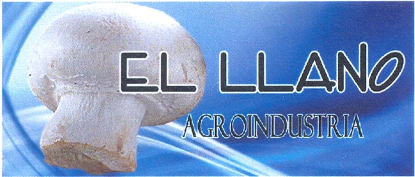 EL LLANO AGROINDUSTRIA