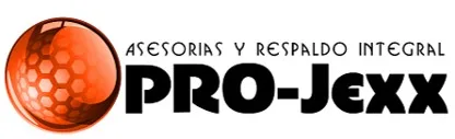 PRO-Jexx ASESORÍAS Y RESPALDO INTEGRAL
