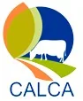 CALCA