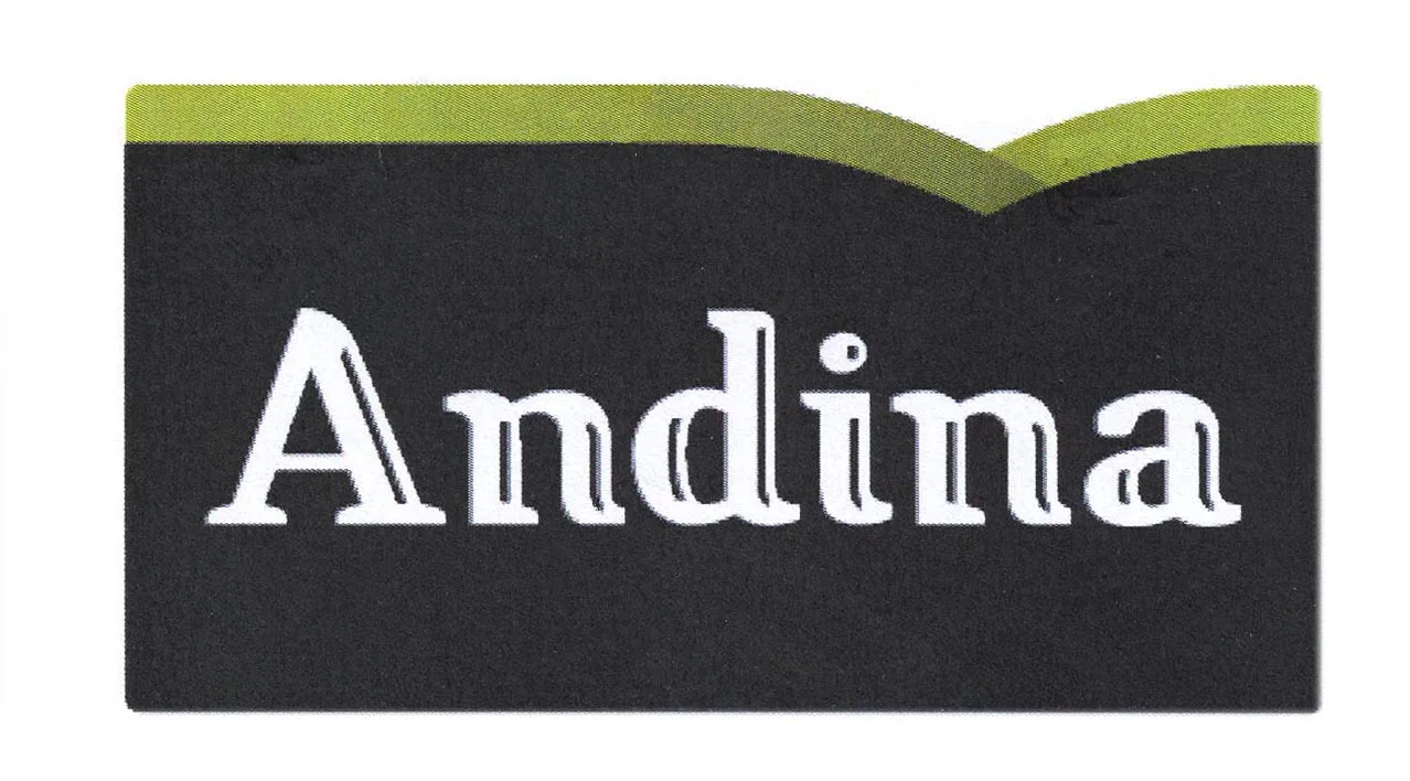 ANDINA