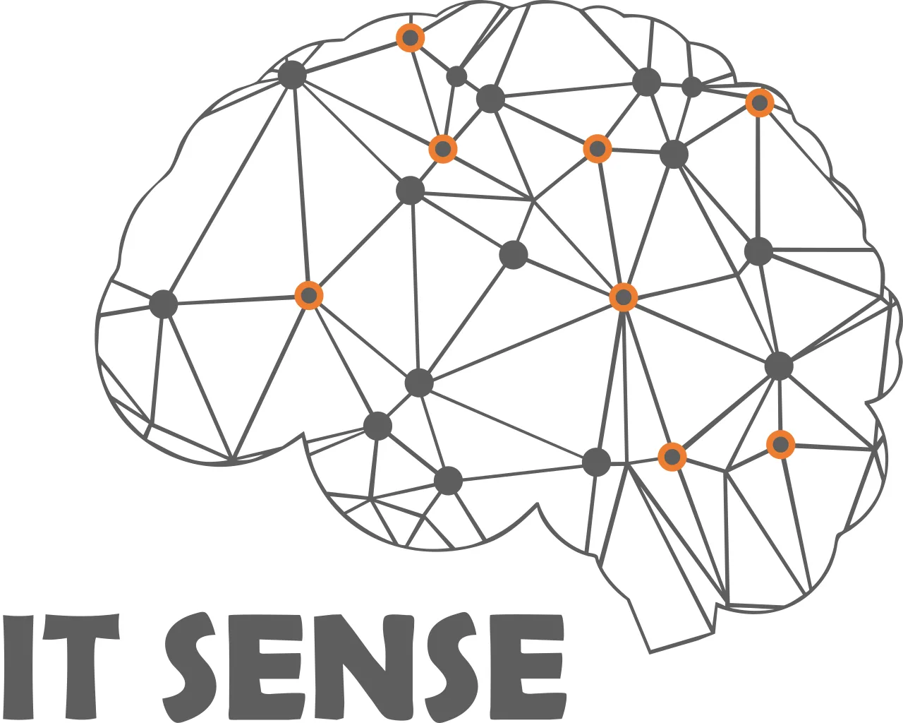 IT SENSE