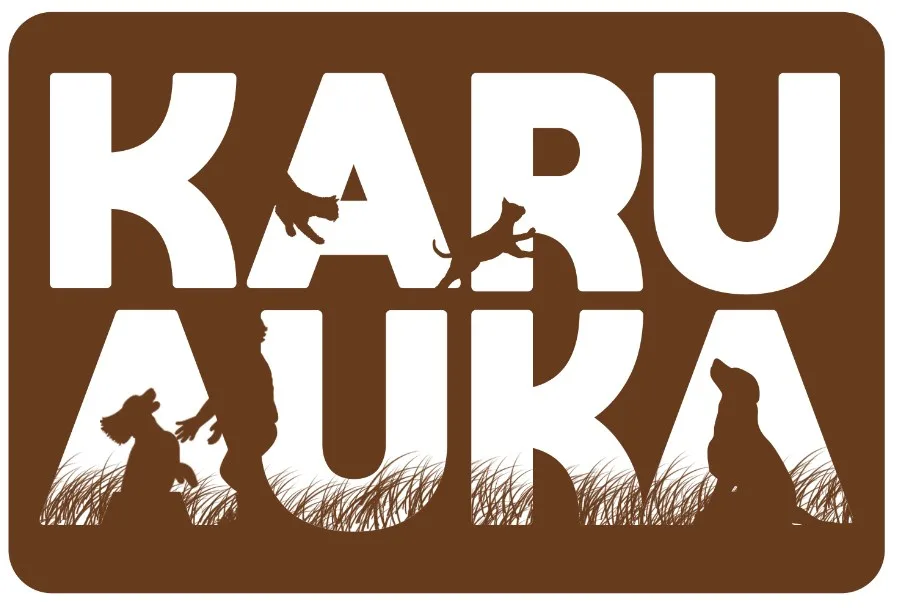 Karu Auka