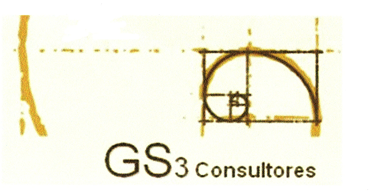 GS3 CONSULTORES