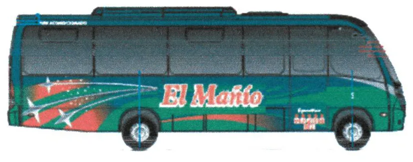 El Mañío