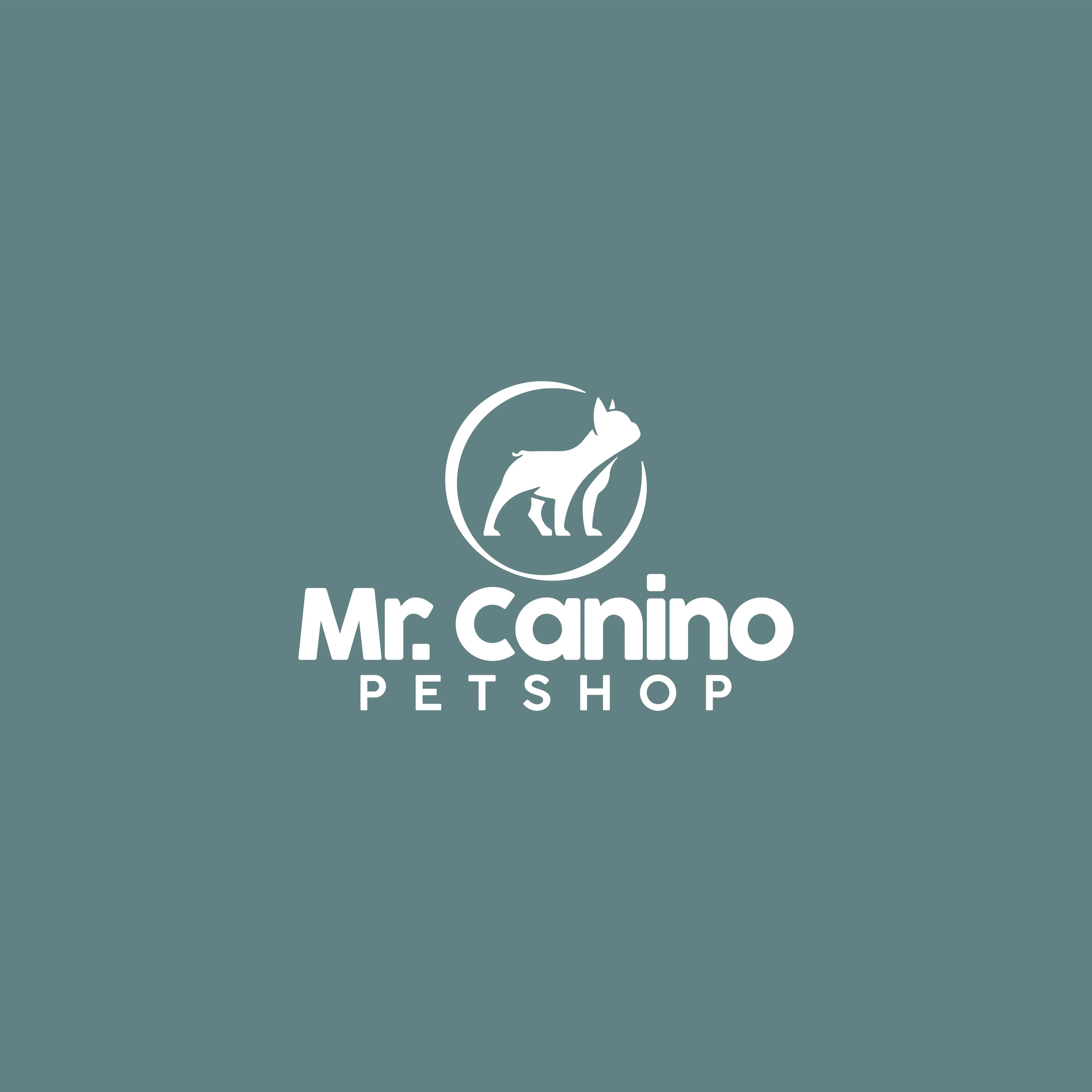 Mr Canino