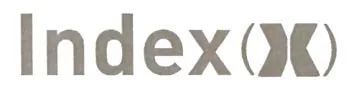 INDEX X