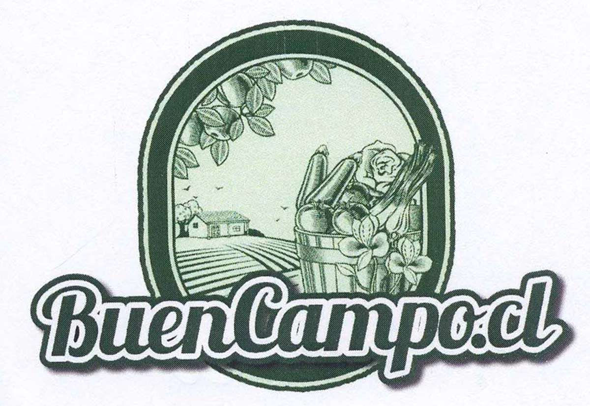 BUENCAMPO.CL