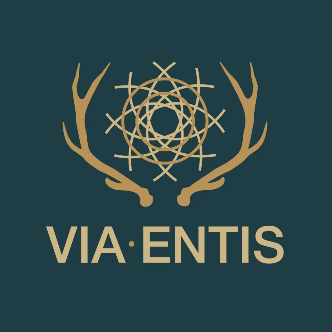 VIA ENTIS