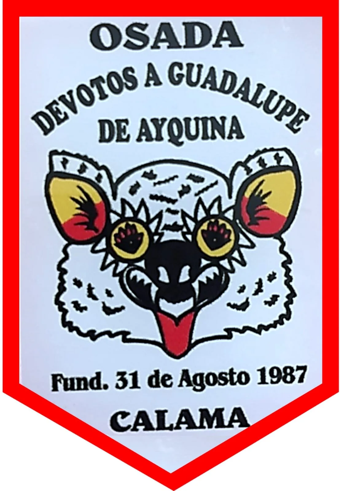 OSADA DEVOTOS A GUADALUPE DE AYQUINA