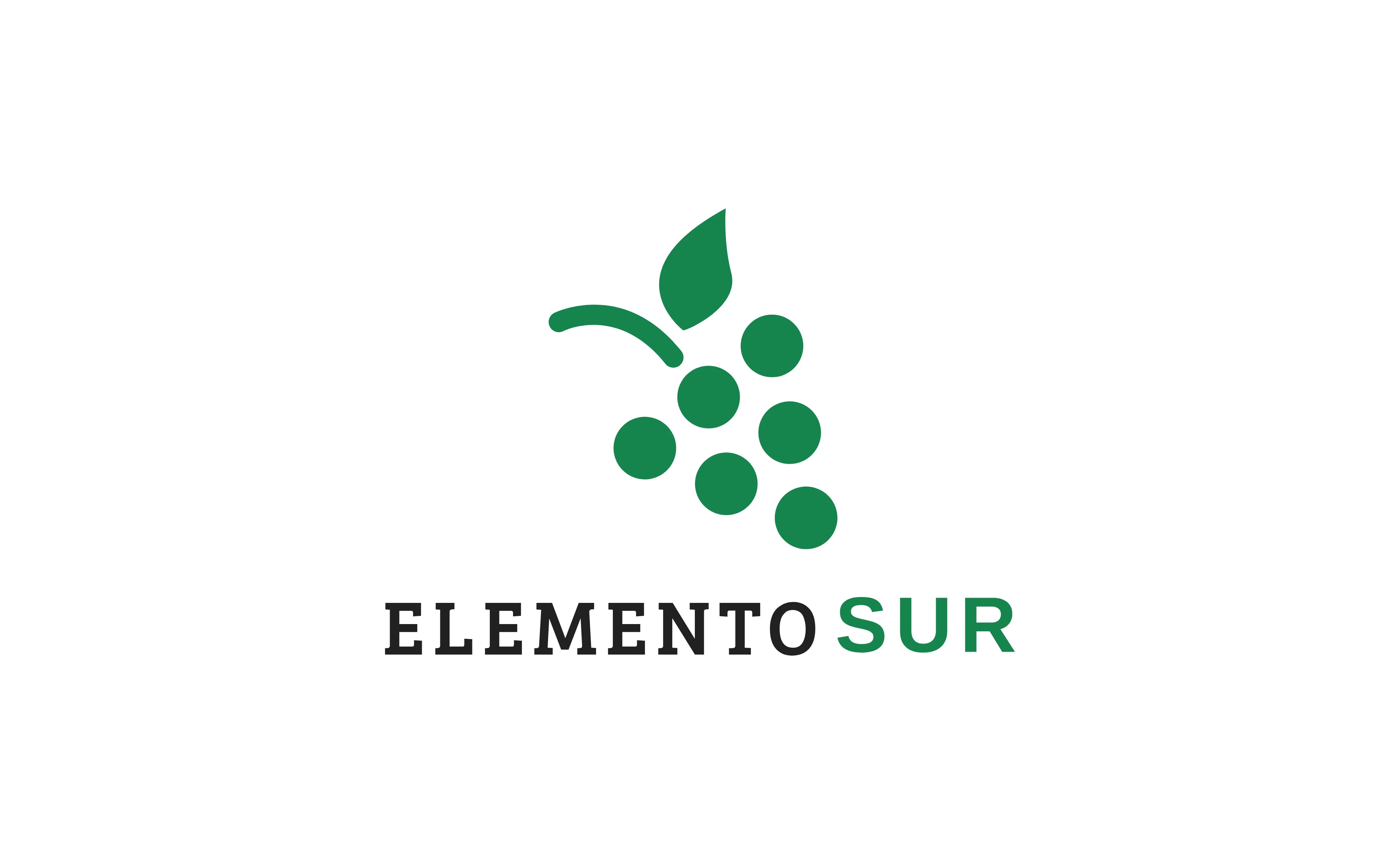 ELEMENTO SUR