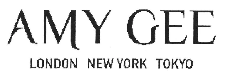 AMY GEE LONDON NEW YORK TOKYO