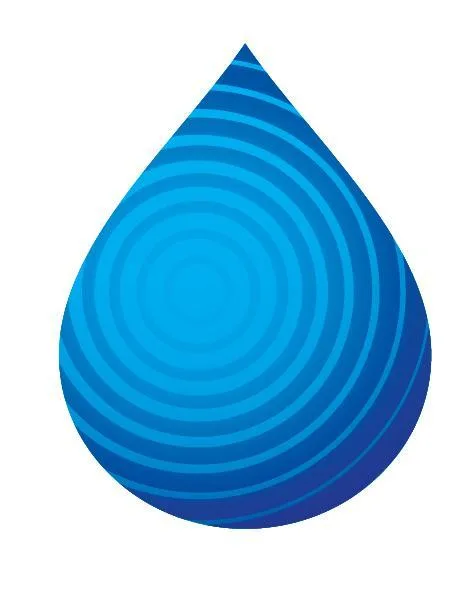 Acta 1137148
