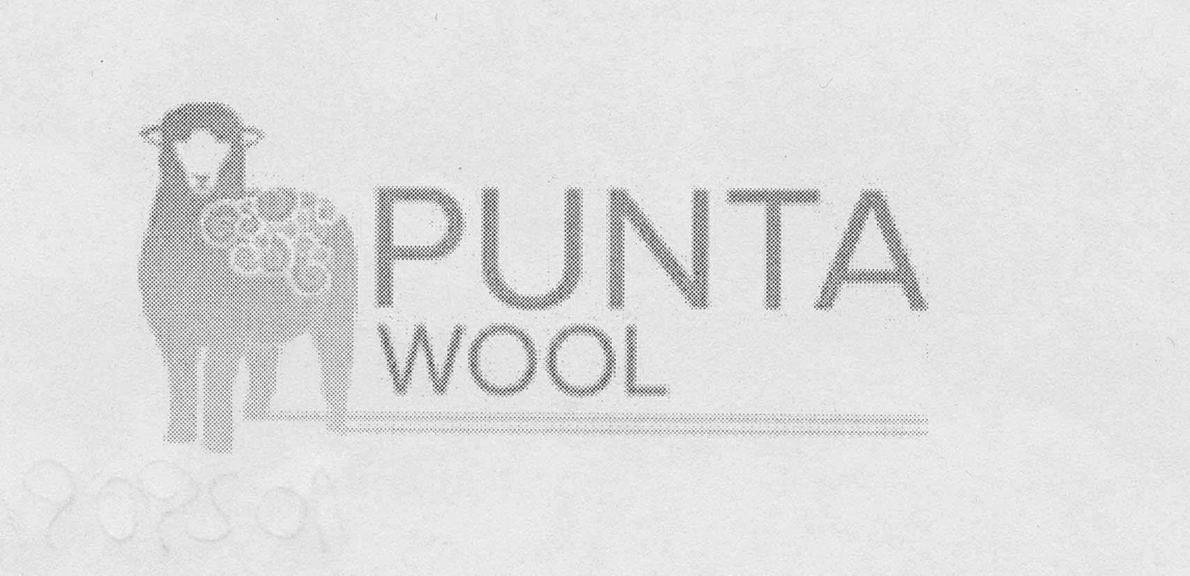 PUNTA WOOL