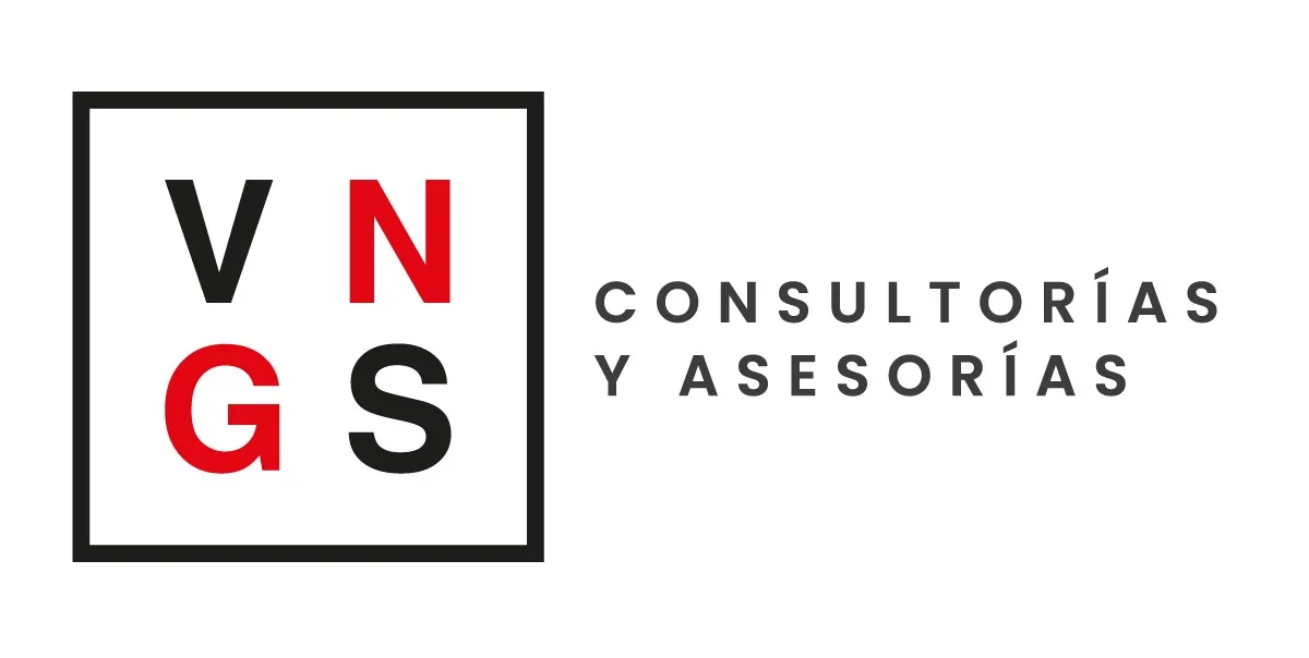 VNGS CONSULTORÍAS Y ASESORÍAS