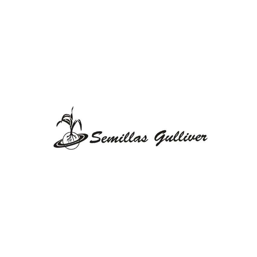 Semillas Gulliver