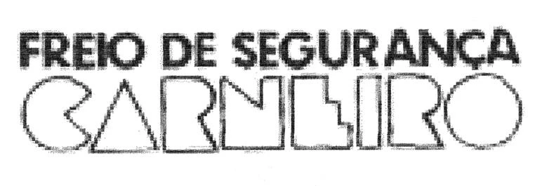 FREIO DE SEGURANCA CARNEIRO