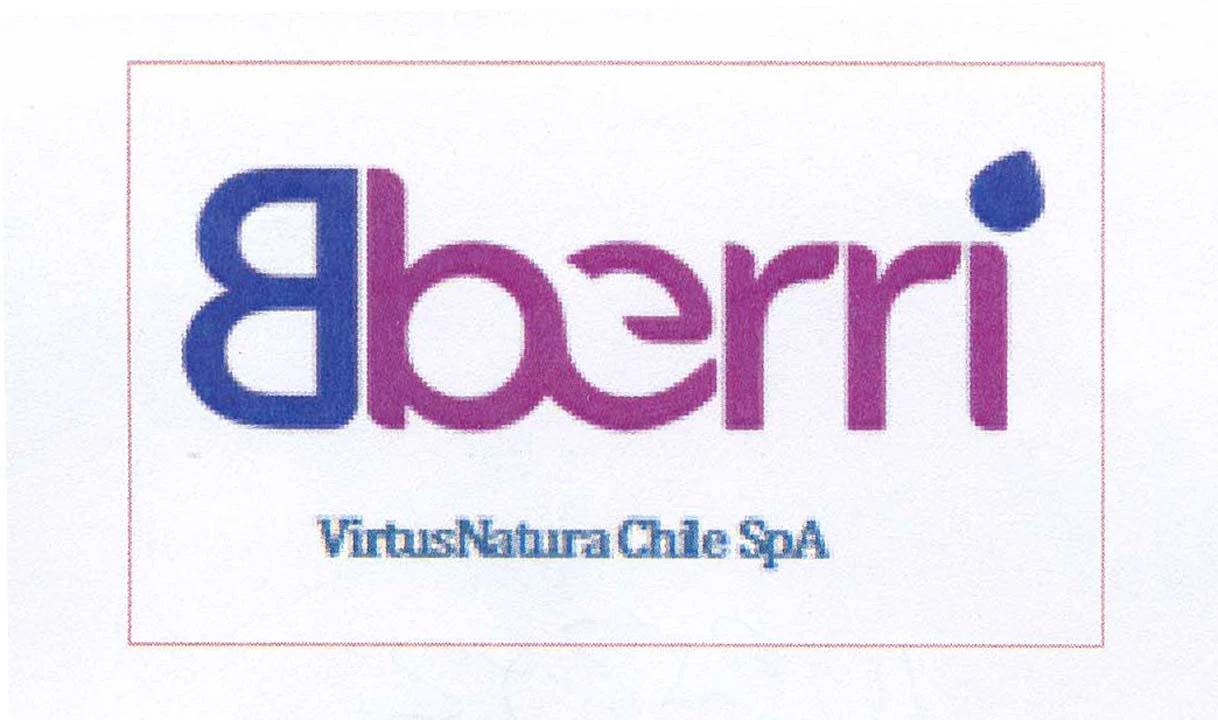 B BERRI VIRTUSNATURA CHILE SPA