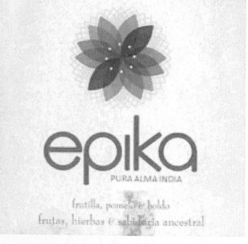EPIKA PURA ALMA INDIA