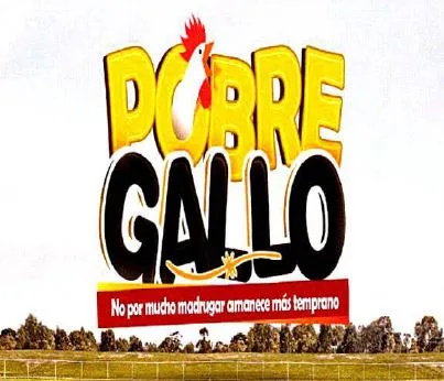 POBRE GALLO No por mucho madrugar amanece más temprano.