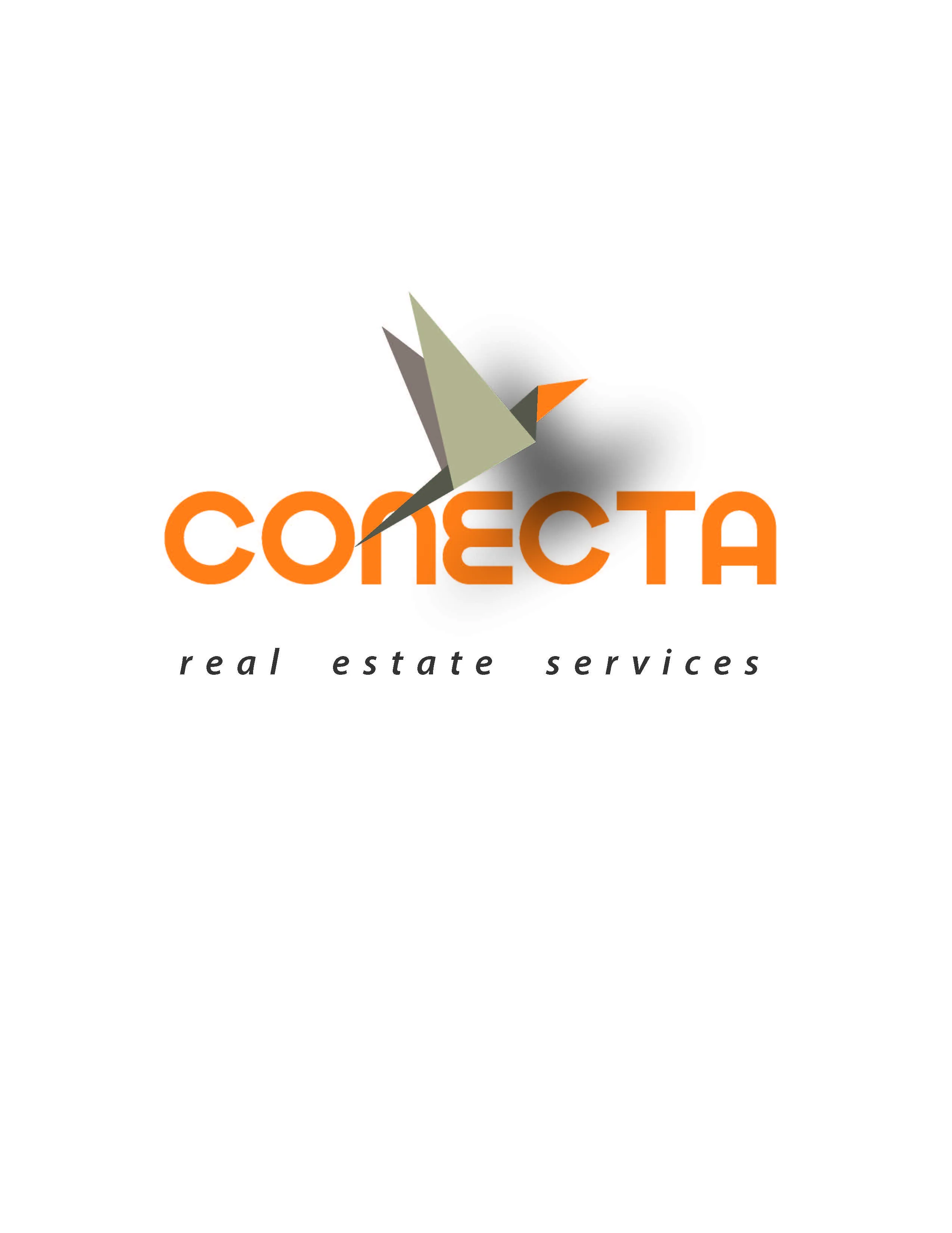 Conecta Real Estate Services
