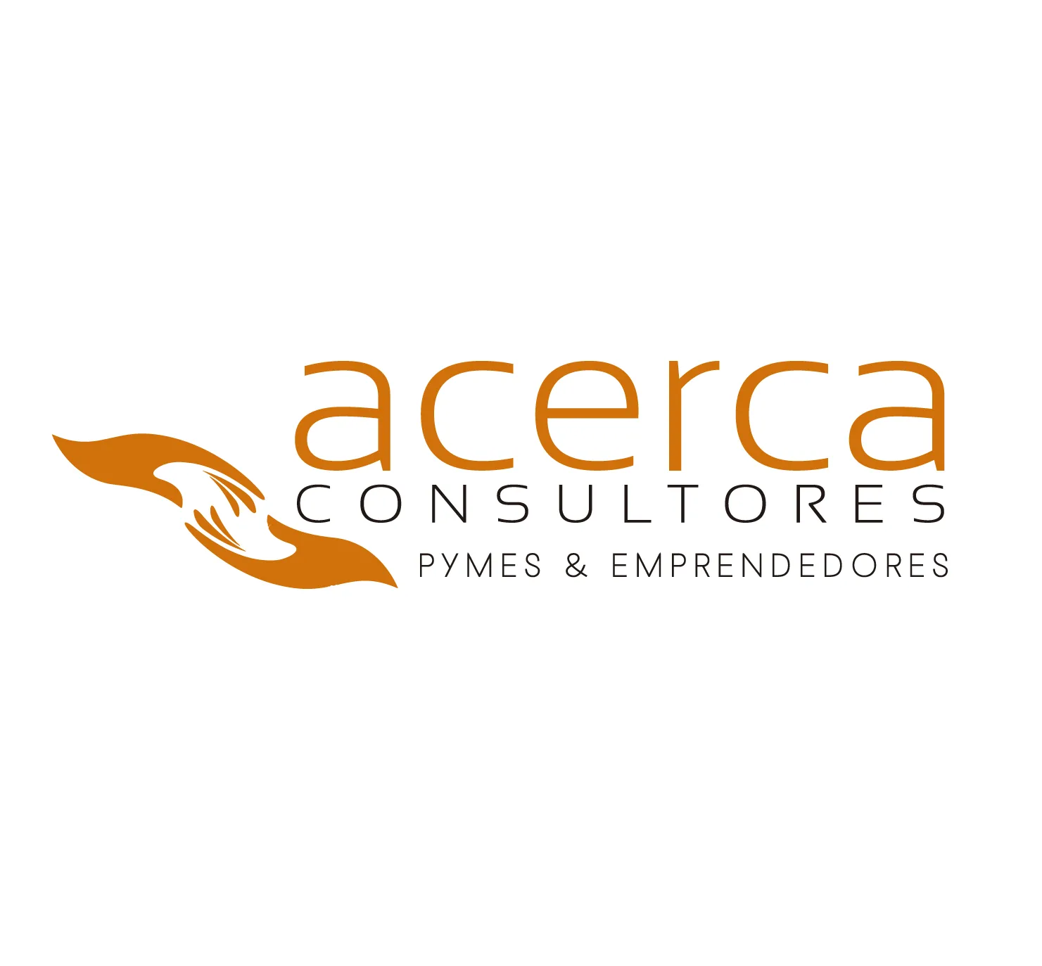 ACERCA CONSULTORES
