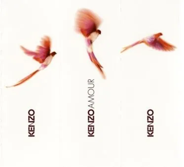 KENZO KENZOAMOUR KENZO