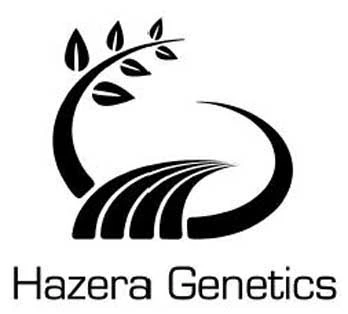 HAZERA GENETICS
